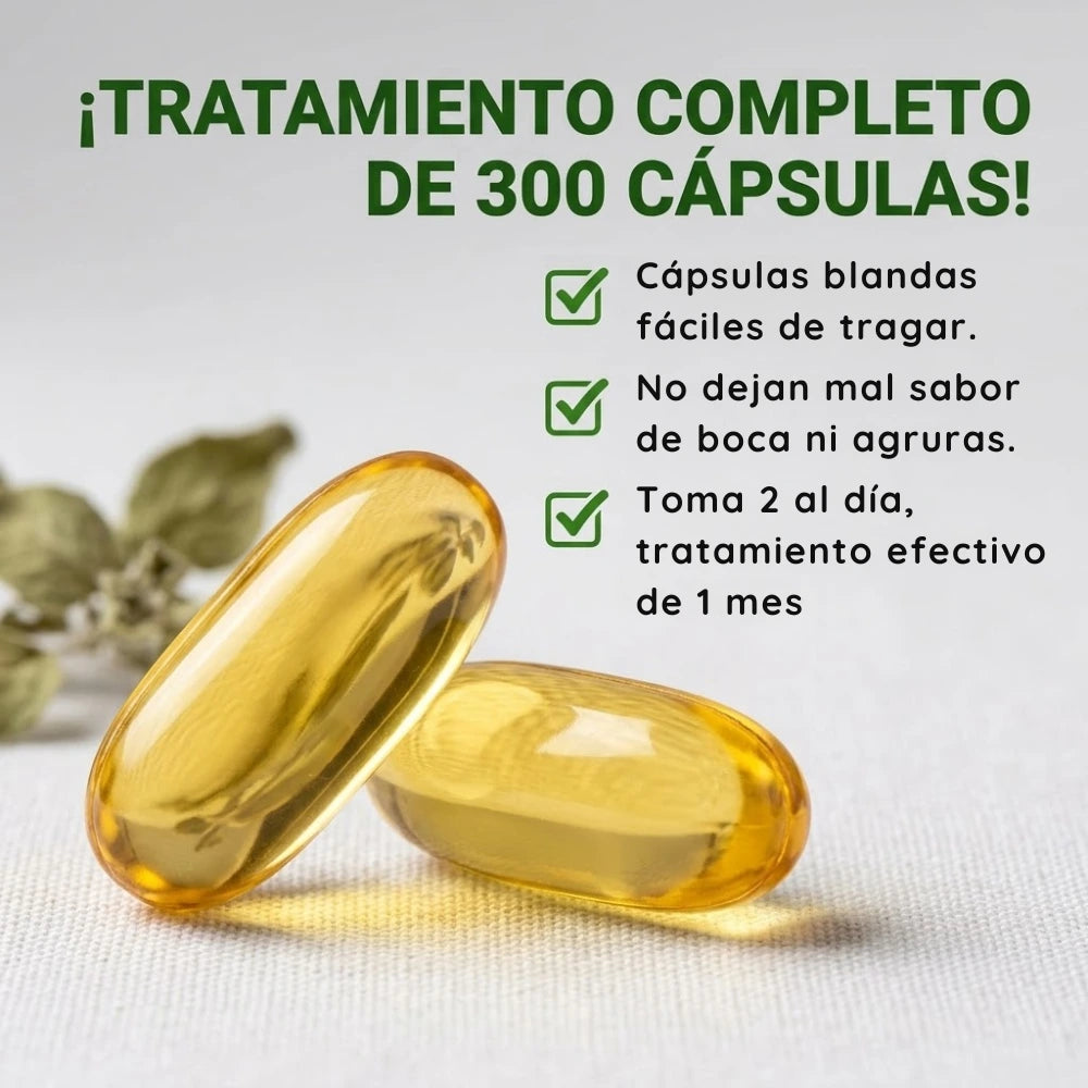 Aceite de Orégano Puro (300 Cápsulas) El aliado natural para tu sistema digestivo y defensas