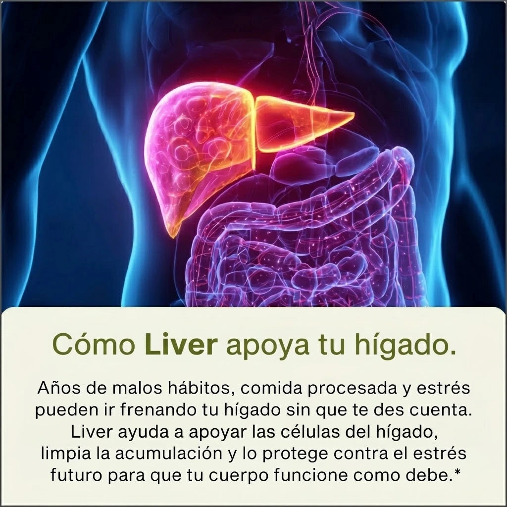 Liver - Apoyo Hepático y Bienestar Frente al Estrés