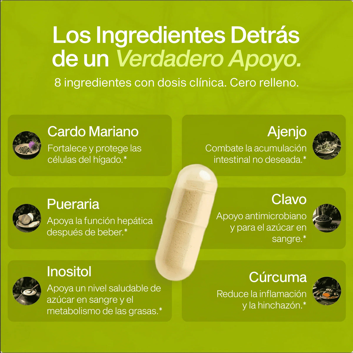 Liver - Apoyo Hepático y Bienestar Frente al Estrés