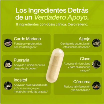 Liver - Apoyo Hepático y Bienestar Frente al Estrés